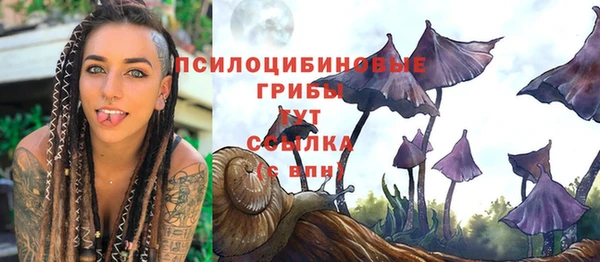 спайс Алексеевка