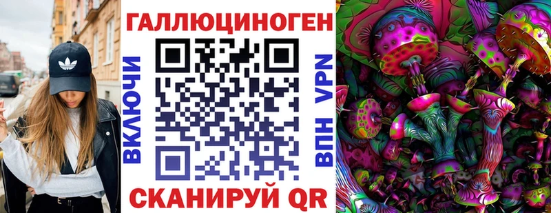 Галлюциногенные грибы Psilocybe Ардон
